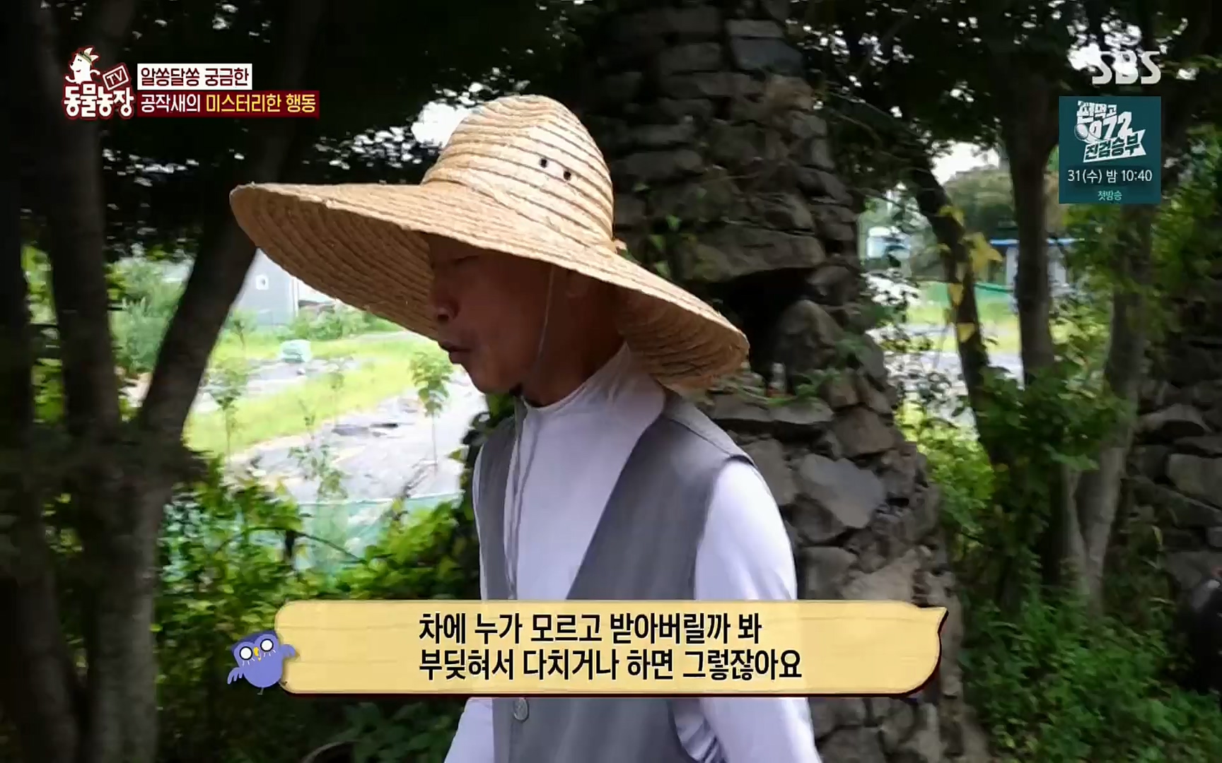 TV 동물농장.E1084.220828p.H264-F1RST.mp4_20220828_154052.495.jpg