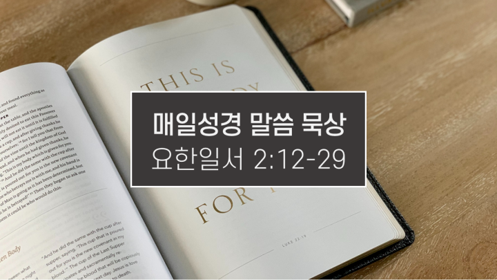 썸네일-성경책