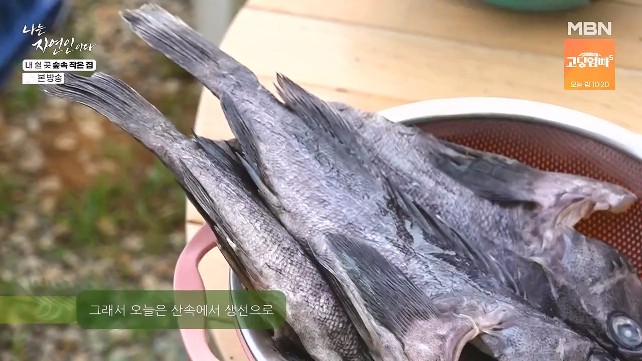 나는 자연인이다.E613.240711p-NEXT.mp4_20240711_195257.624.jpg