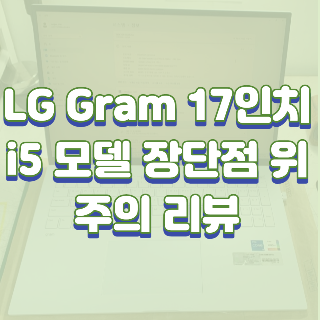 LG Gram 17인치 i5 모델 장단점 위주의 리뷰