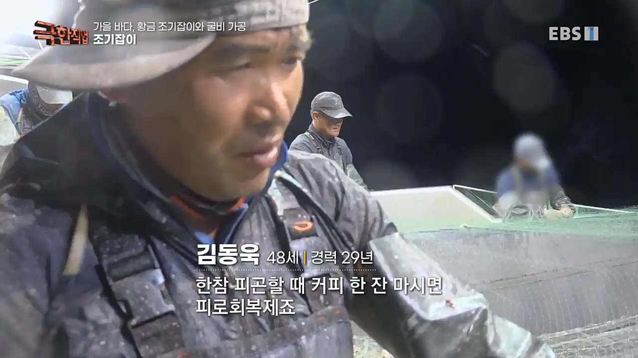 TV - 교육의 중심 EBS가을 바다 황금 조기잡이와 굴비 가공.mp4_20221122_195435.679.jpg