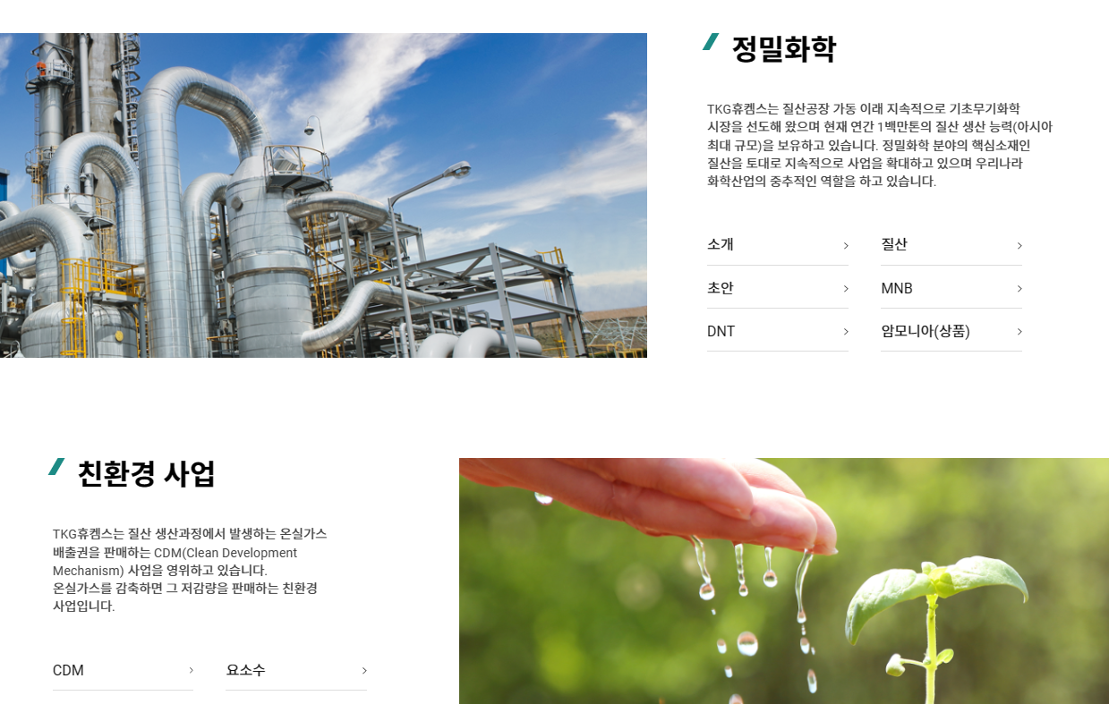  TKG휴켐스 주가 실적 배당 지급일 사업모델 최근실적 지배구조 배당의견 배당역사 성장전략 지배주주 지배구조 승계 자사주 소각 주주환원