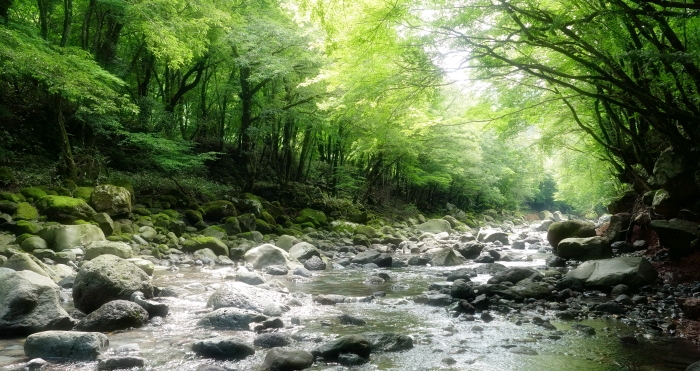 제주 천아계곡