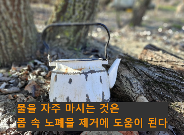 물 자주 마시기