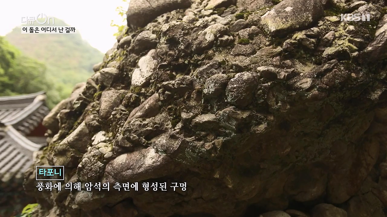 다큐 온.E215.230917p-NEXT.mp4_20230922_211842.321.jpg