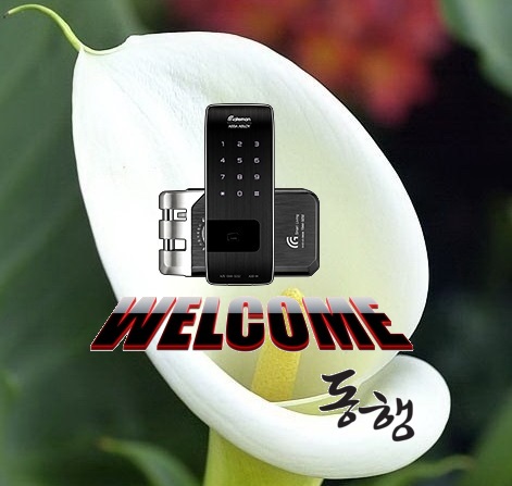  부천도당동현관특수도어자물쇠 hello