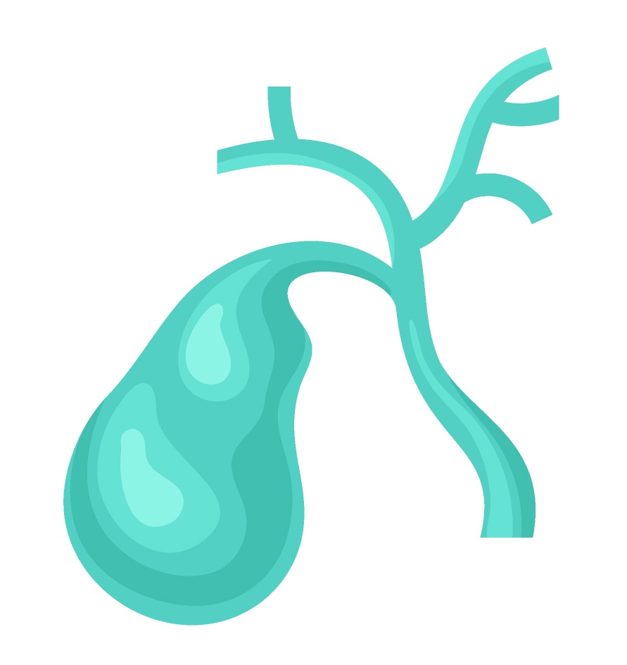  담석증과 관련 깊은 담낭염(cholecystitis)의 원인, 증상 및 치료