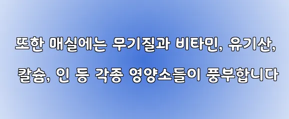  또한 매실에는 무기질과 비타민, 유기산, 칼슘, 인 등 각종 영양소들이 풍부합니다