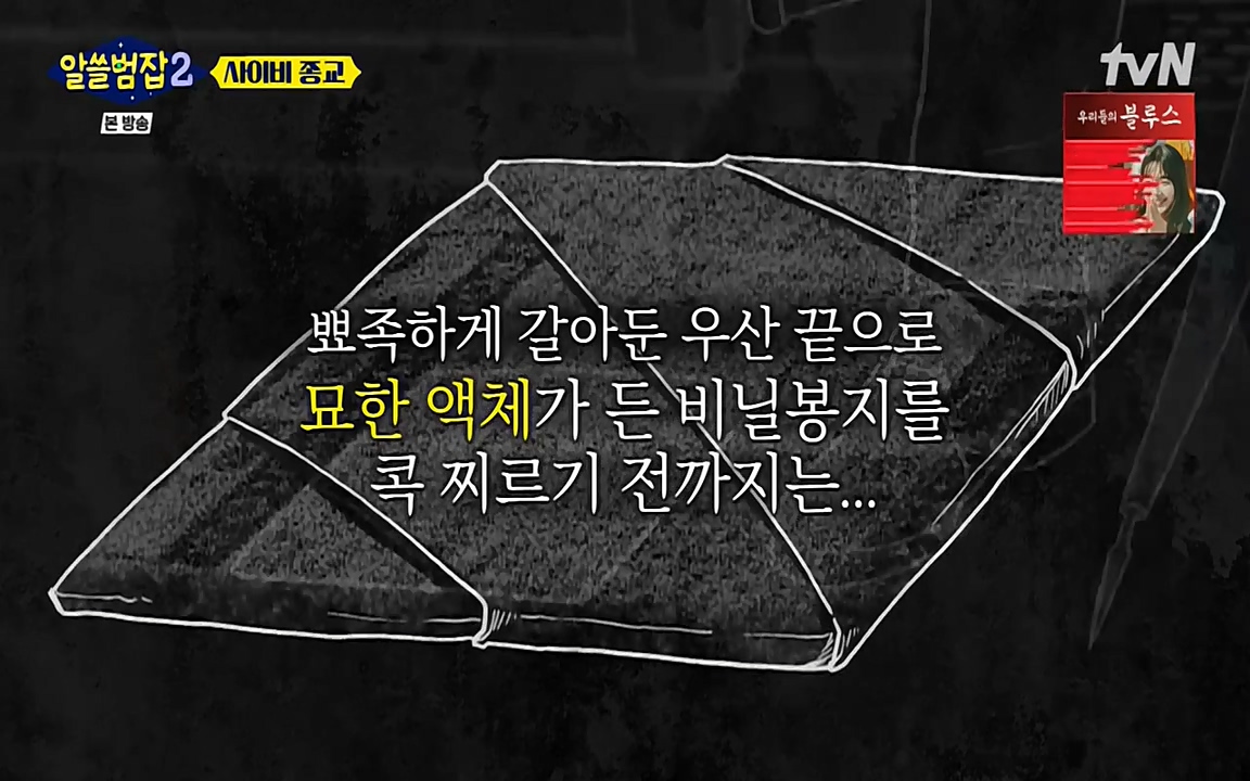 알쓸범잡 2.E12.220404p-NEXT.mp4_20220404_190640.143.jpg