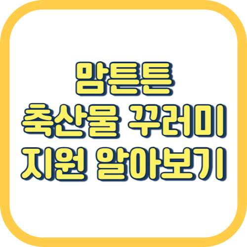  용인 맘튼튼 축산물 꾸러미 지원 방법 대상 기간 내용