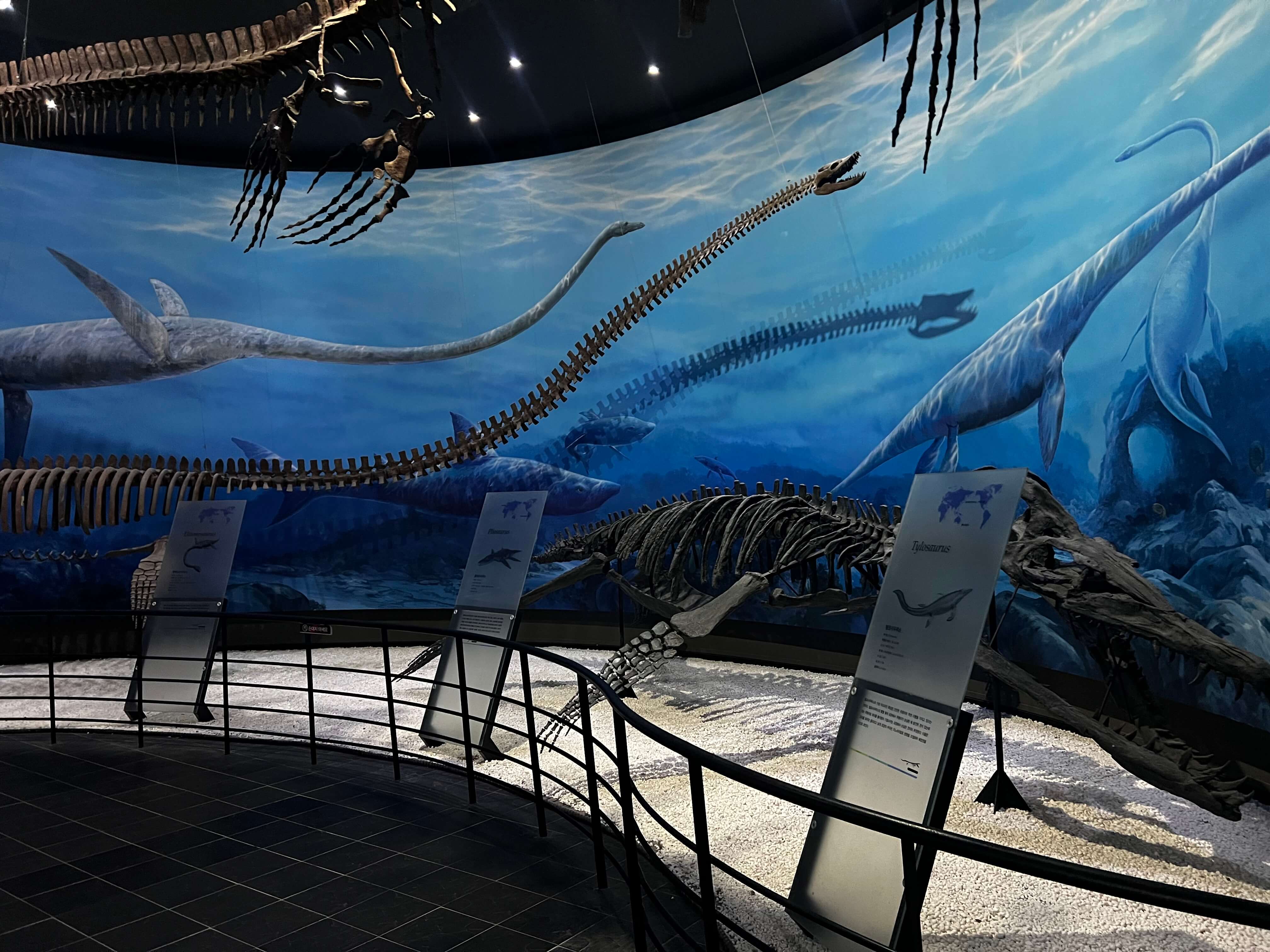 민수랜드-해남공룡박물관 수룡