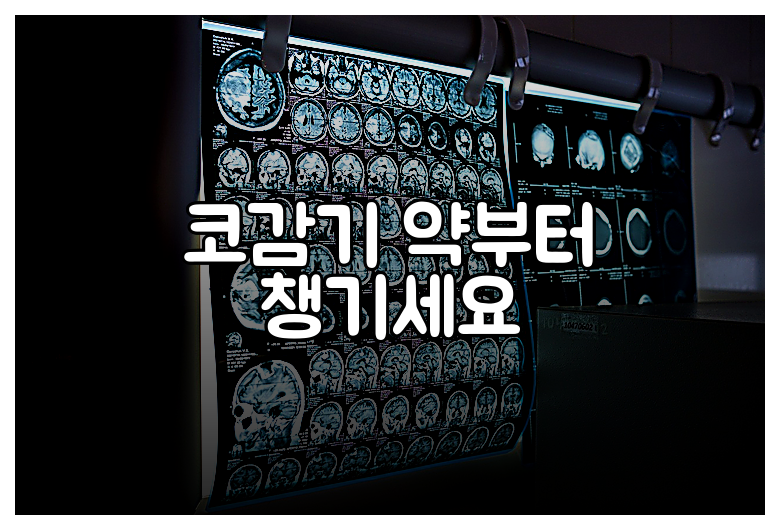 코감기 약부터 챙기세요