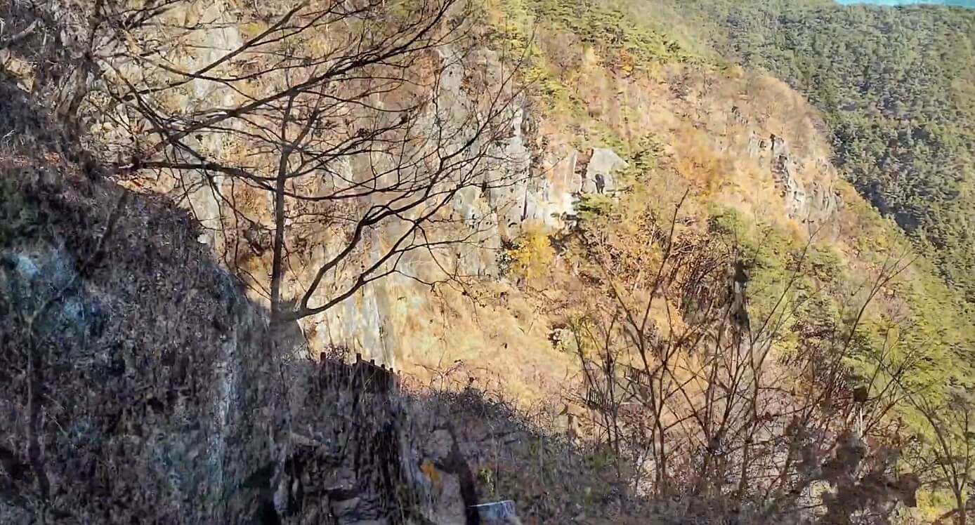 금성산
