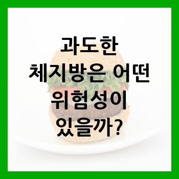  과도한 체지방은 어떤 위험성이 있을까?