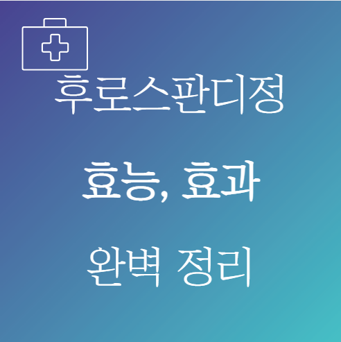 후로스판디정