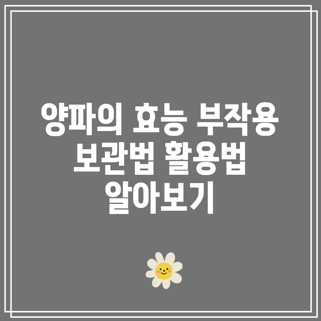 양파의 효능 부작용 보관법 활용법 알아보기