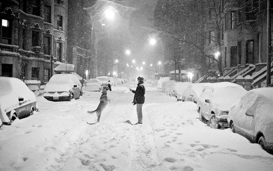 Love Story (Andy Williams / Where Do I Begin: Love theme from Love Story) 대표 이미지: 도시&#44; 눈&#44; 개&#44; 사람&#44; 눈 덮인 자동차