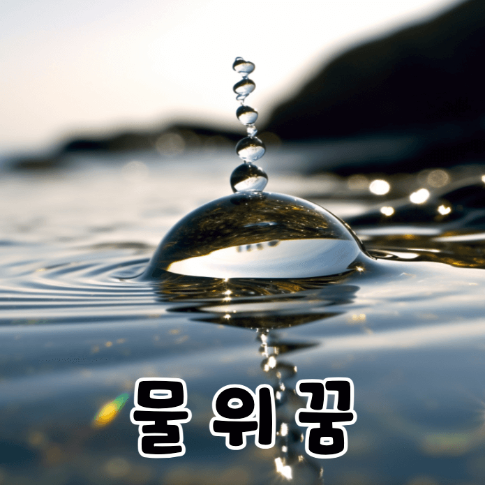 강물 위