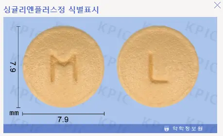 싱귤리엔플러스정-크기