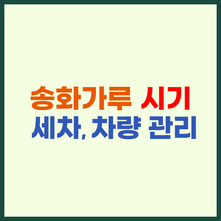 송화가루-날리는-시기-세차-차량-관리