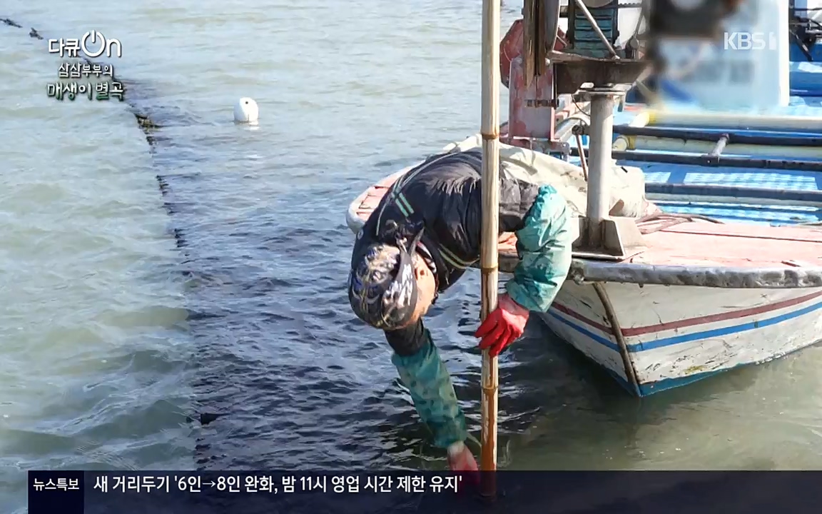 다큐 온.E131p-NEXT.mp4_20220319_174013.916.jpg