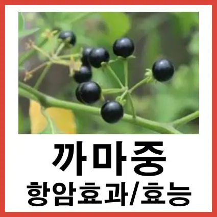 까마중