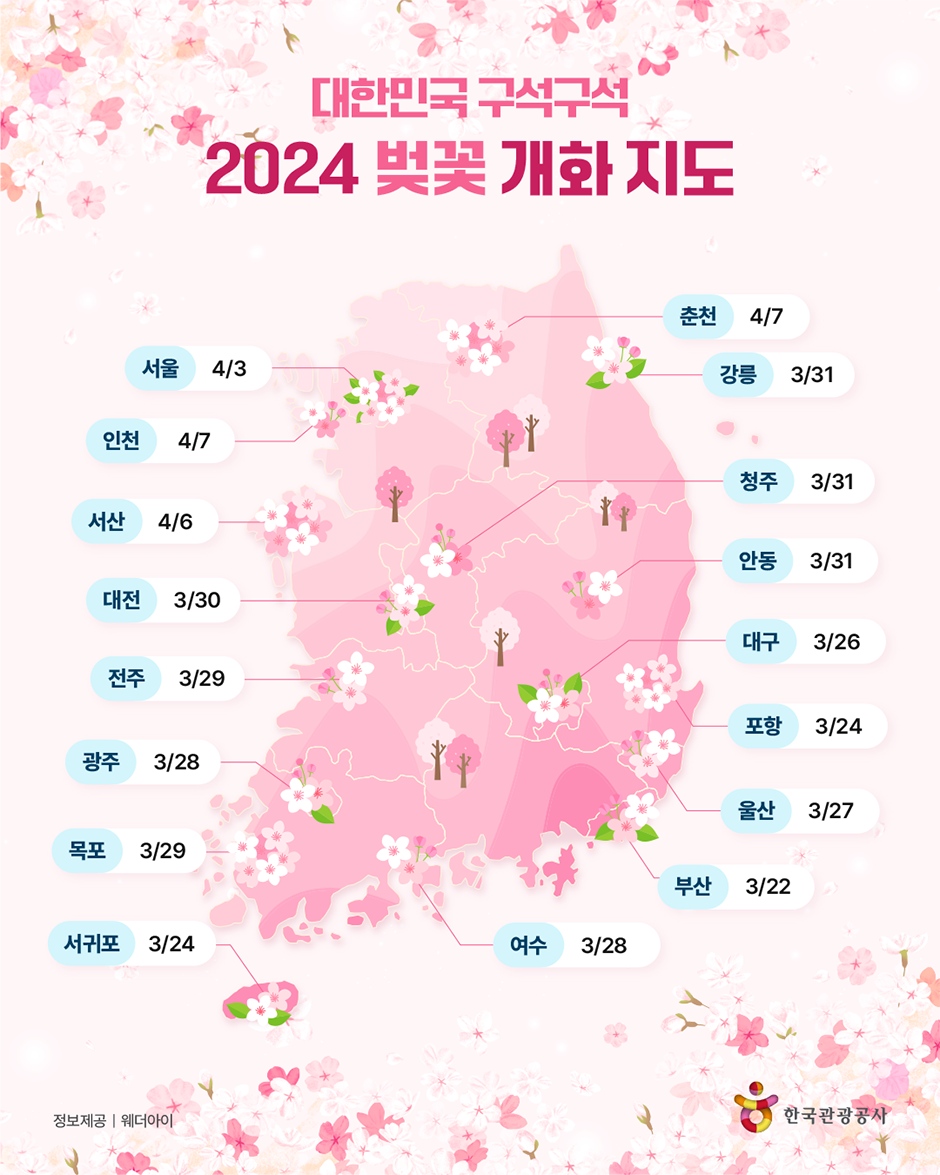 2024년 전국 벚꽃 개화 지도