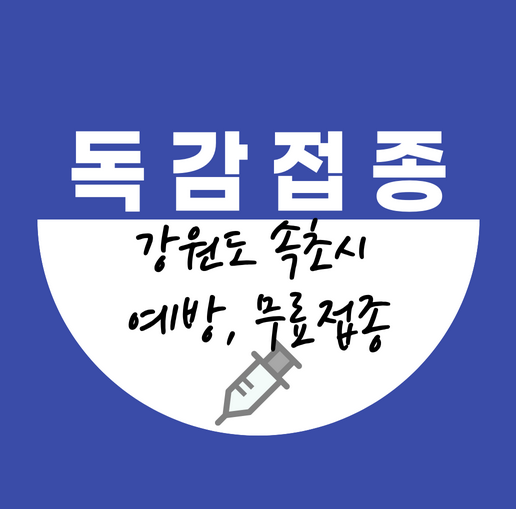 속초시독감접종