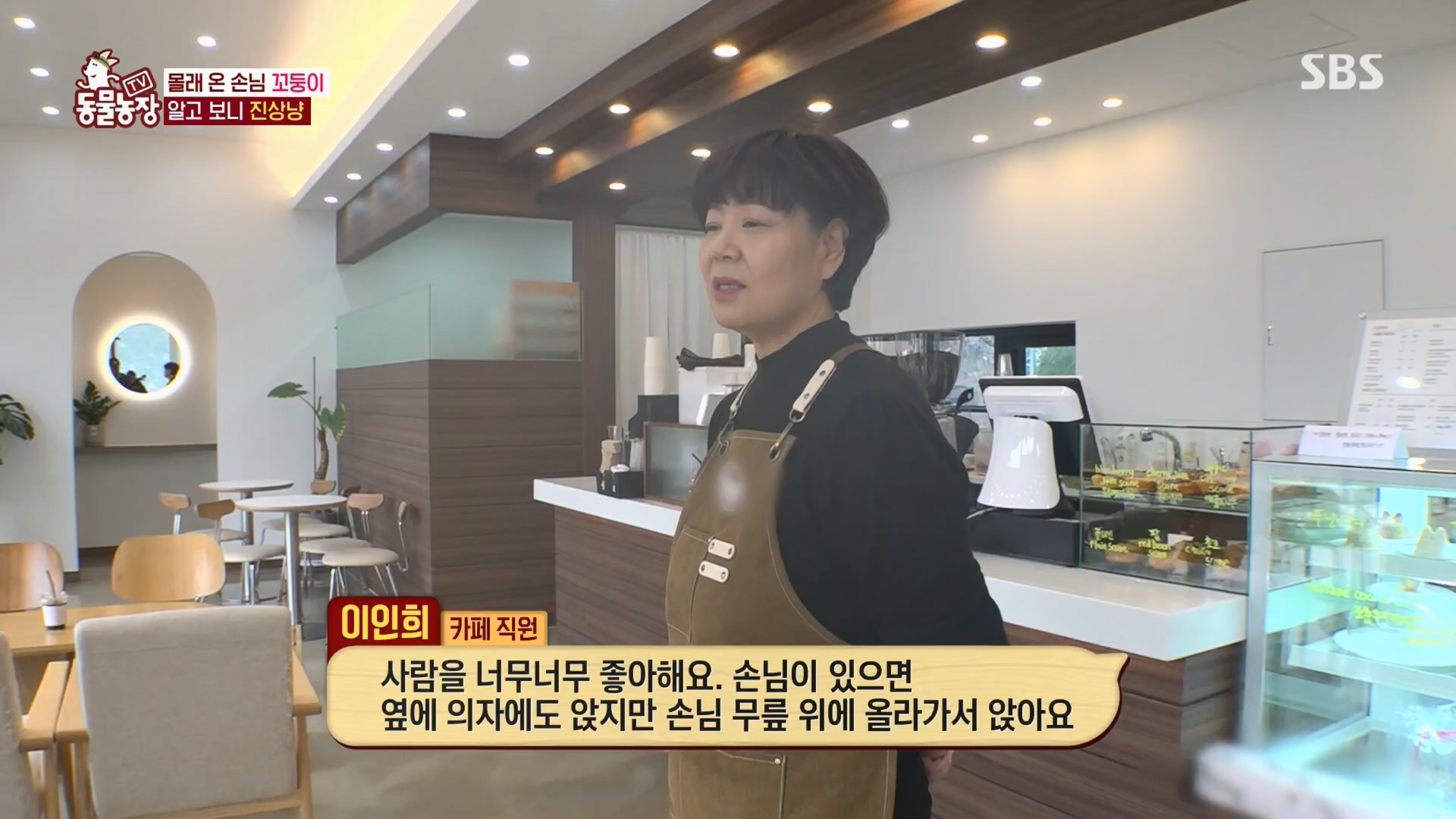 TV 동물농장.E1159.240218p.H264-F1RST.mp4_20240218_170004.917.jpg