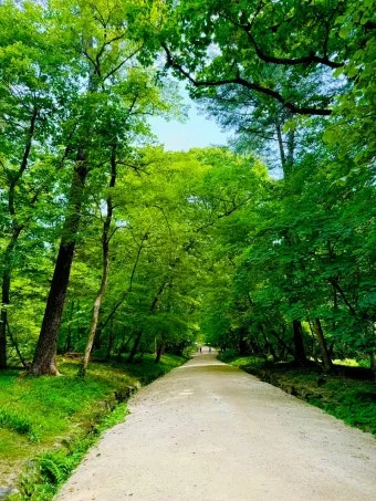 숨겨진 힐링 명소로 떠나는 포천 광릉수목원 완전 정복 가이드북 2025_4