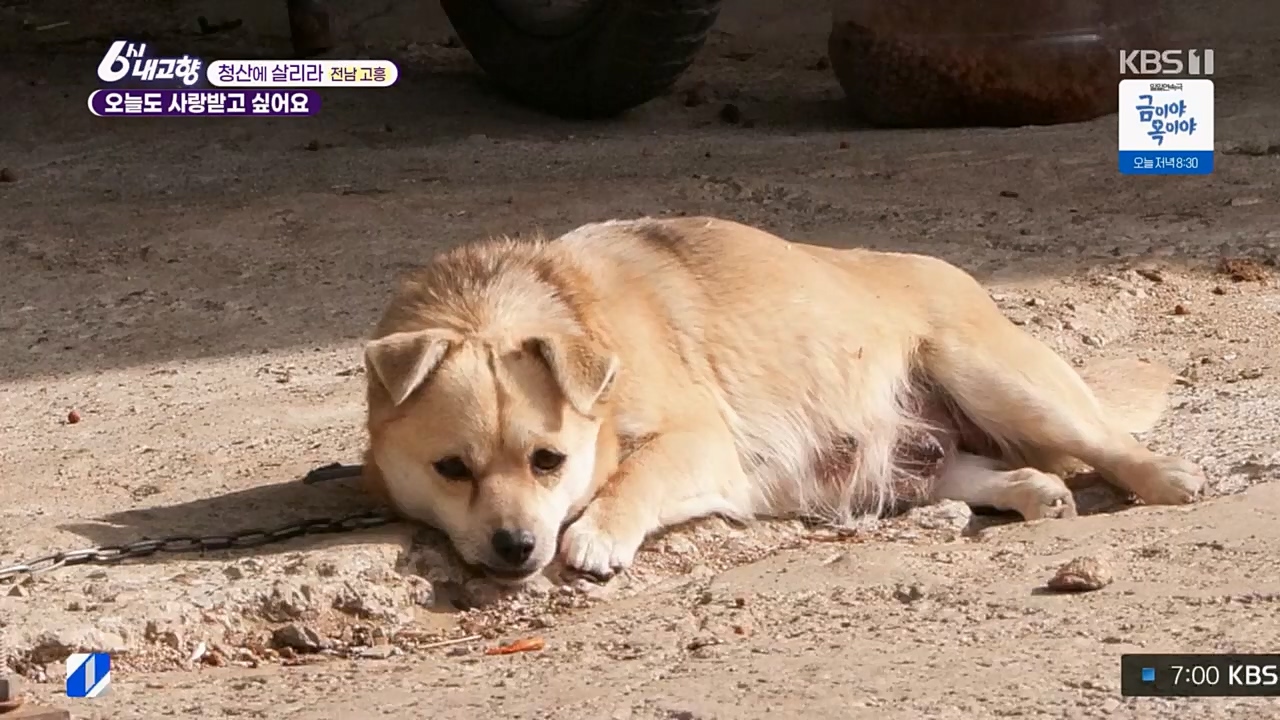 6시 내고향.E7756.230331p.H264-F1RST.mp4_20230331_212227.506.jpg