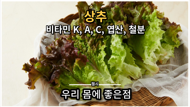 상추의 신선함과 영양 가득한 효능 알아보자