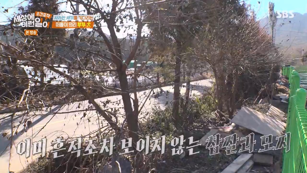순간포착 세상에 이런일이.E1254.231203p-NEXT.mp4_20231203_140544.542.jpg