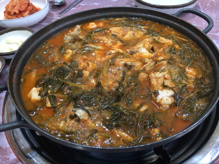 돈바다 이미지