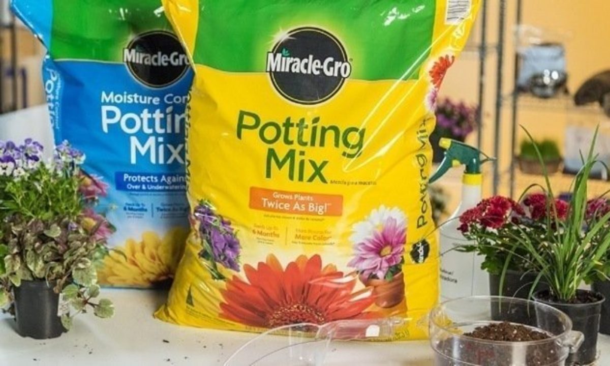 Potting Mix