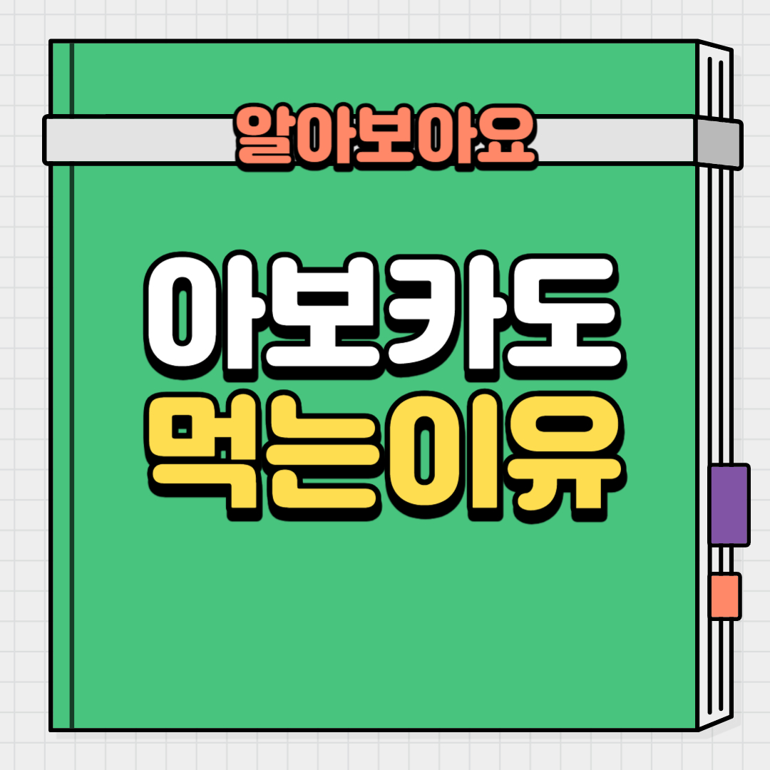  다이어트 할 때 아보카도를 먹어야 하는 이유