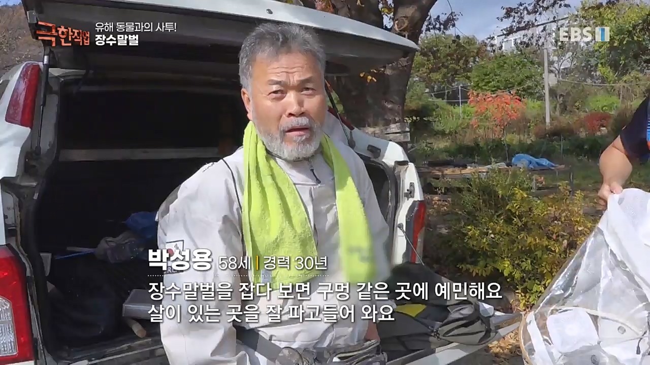 TV - 교육의 중심 EBS유해 동물과의 사투! 등검은말벌, 야생 멧돼지 퇴치.mp4_20221129_195007.102.jpg