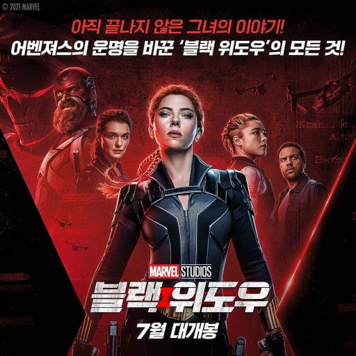 블랙위도우 이미지