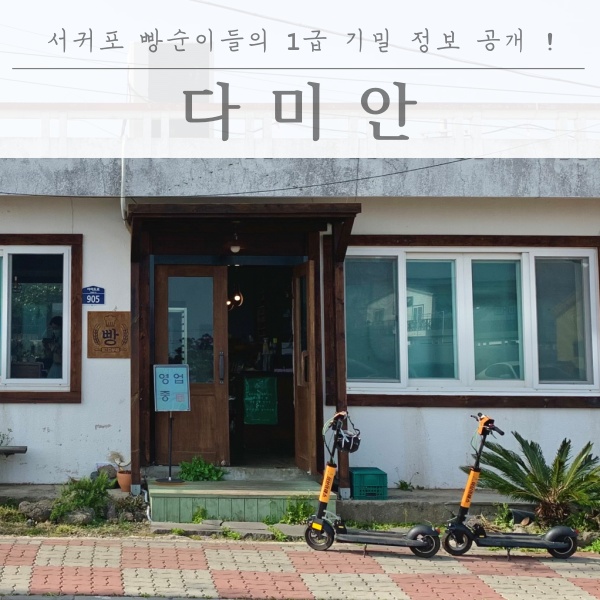  서귀포 빵순이들의 제주 빵지순례 1급 비밀 정보 공개!! 다미안!!
