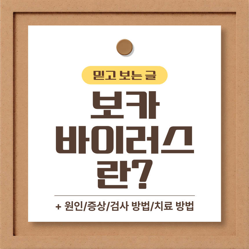 보카 바이러스
