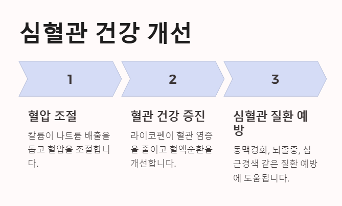 토마토 효능