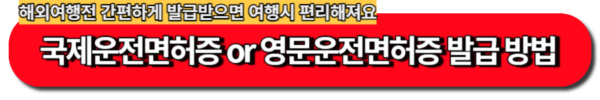국제운전면허증 발급 방법 / 영문운전면허증 활용 가능한 나라 알아보기!