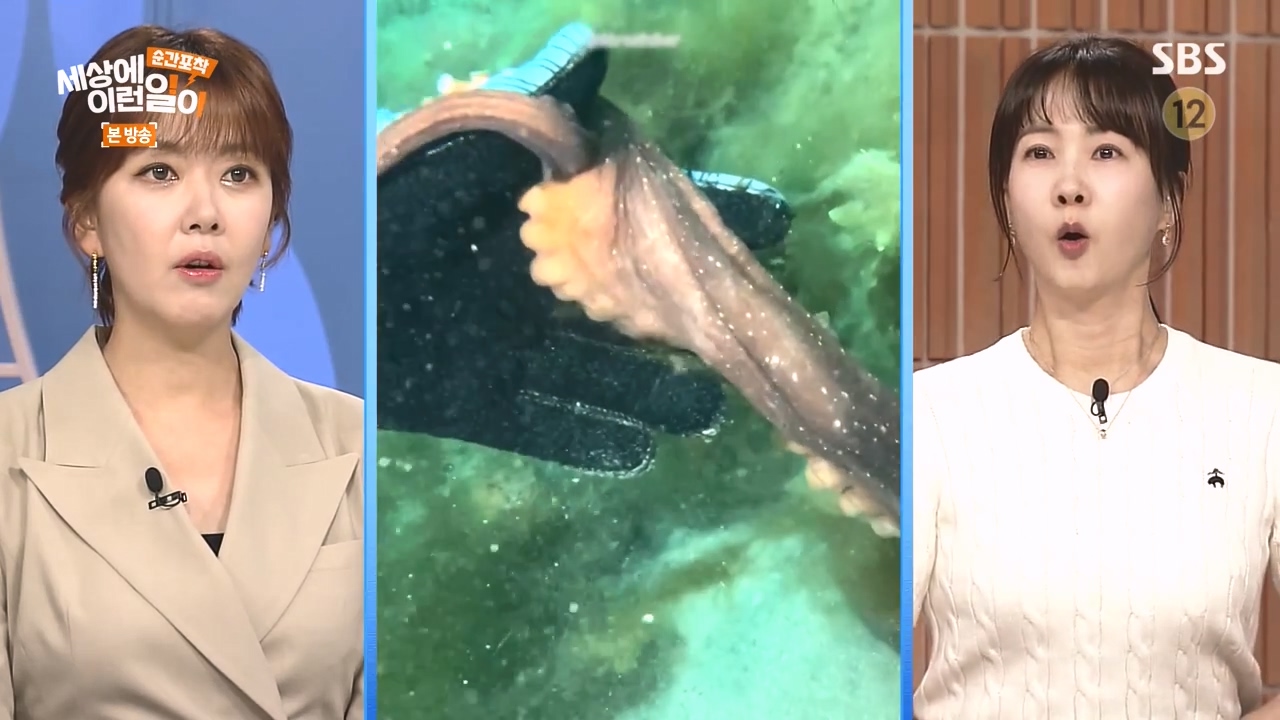 순간포착 세상에 이런일이.E1277.240512p-NEXT.mp4_20240512_151444.863.jpg