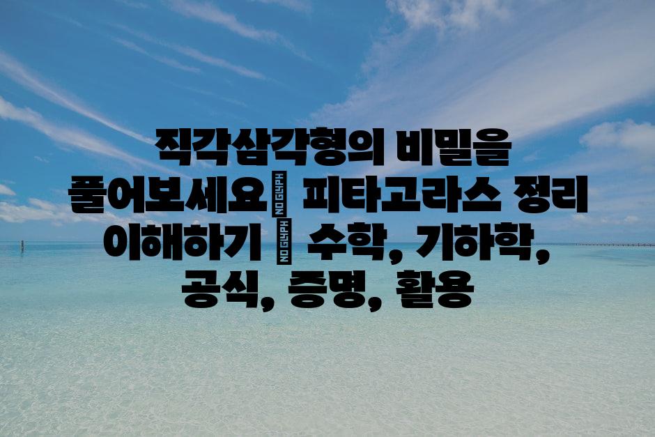 샘플 (3)