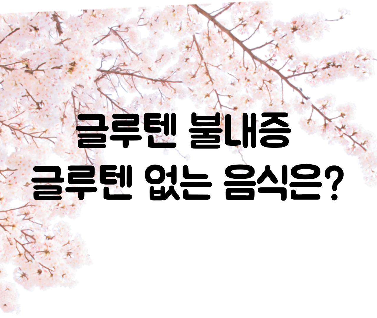  글루텐 부작용, 불내증 / 글루텐 프리 음식 feat 알러지, 알레르기