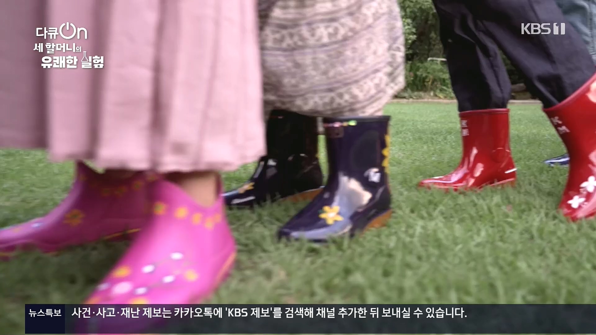 다큐 On.E166.221028p.H264-F1RST.mp4_20221031_194400.932.jpg