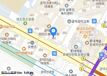 서울시 마포구 신공덕동 일요일 진료 휴일 문 여는 병원