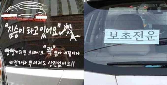  초보운전자 팁, 길에서 급사하지 않으려면 필요한 정보, 주행 관련 팁, 연봉대비 차량, 보험료 폭탄, 장기렌트vs신차vs중고차. 썬팅, 휠 인치 조정 하자말것!