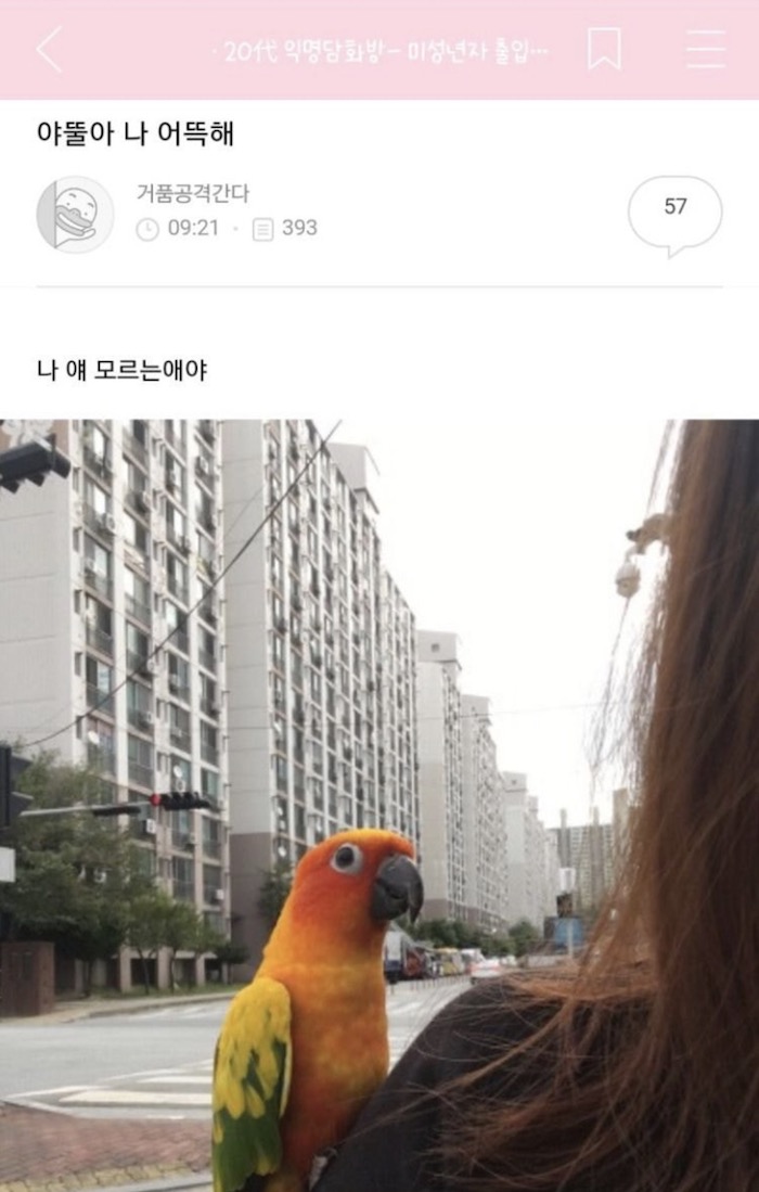 들숨날숨 이미지