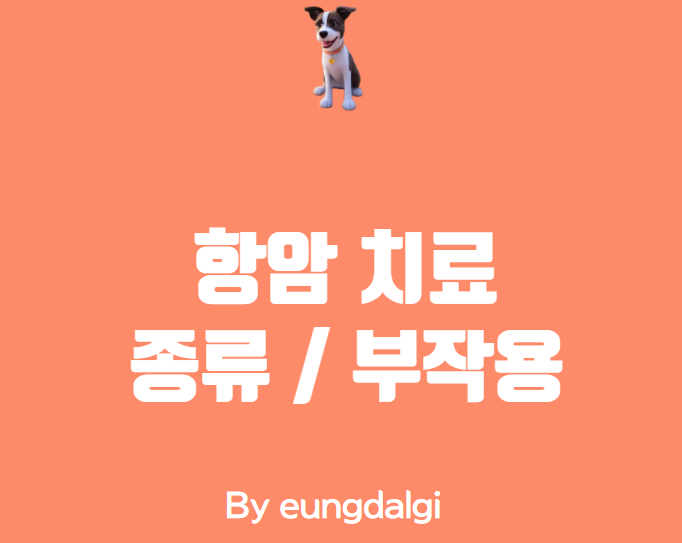  항암에 대한 모든 것 (종류 / 부작용 / 관리)